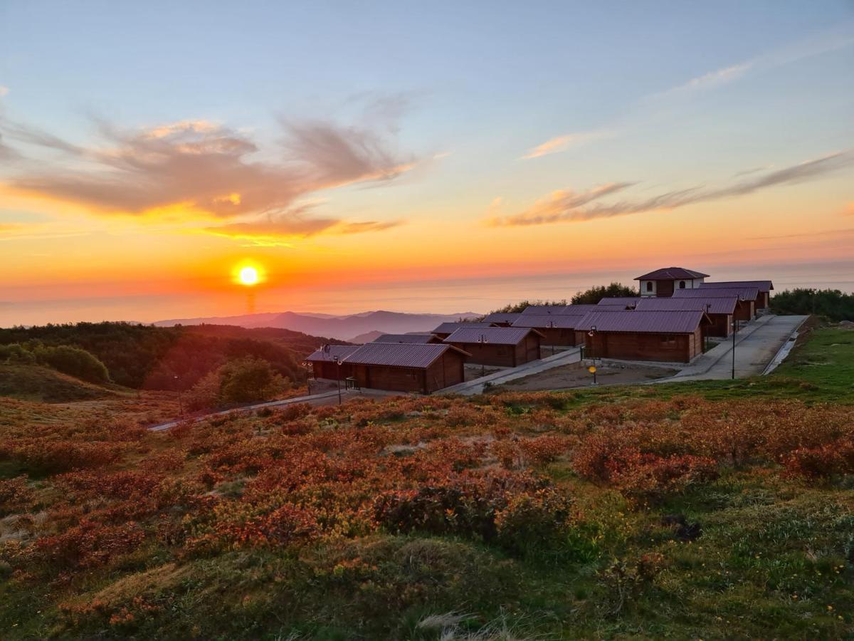 Flora Handuezue Resort & Wellness Bungalow Hotel Rize Eksteriør billede